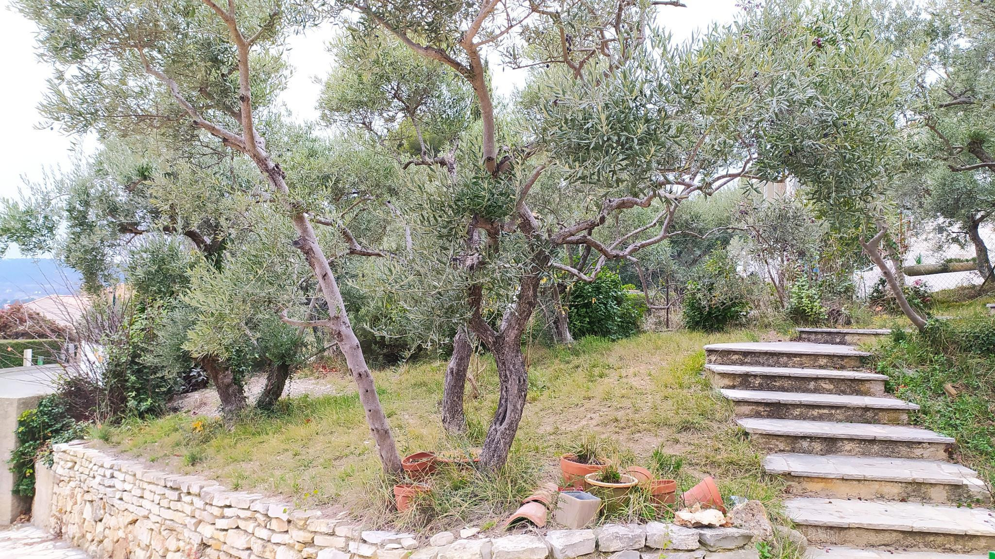 Alpes-de-Haute-Provence À la campagne