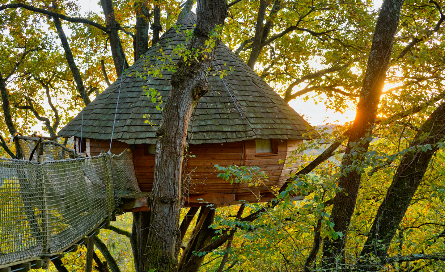 Hôte GreenGo: Cabane perchée - sur Mon Arbre Perché