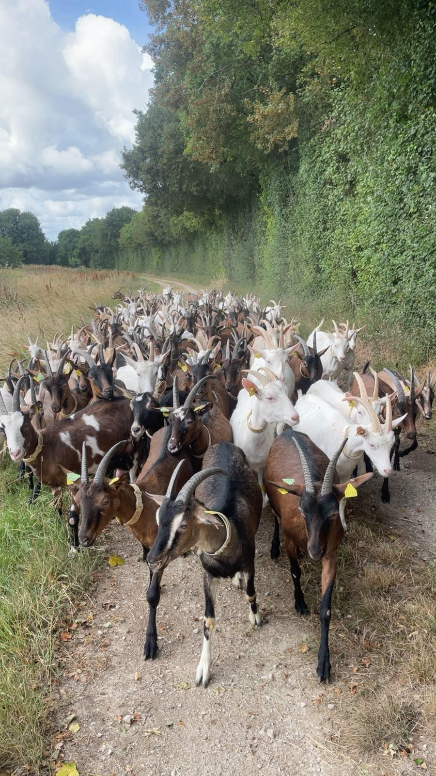 GreenGo Gîte Nouvelle-Aquitaine Évasion