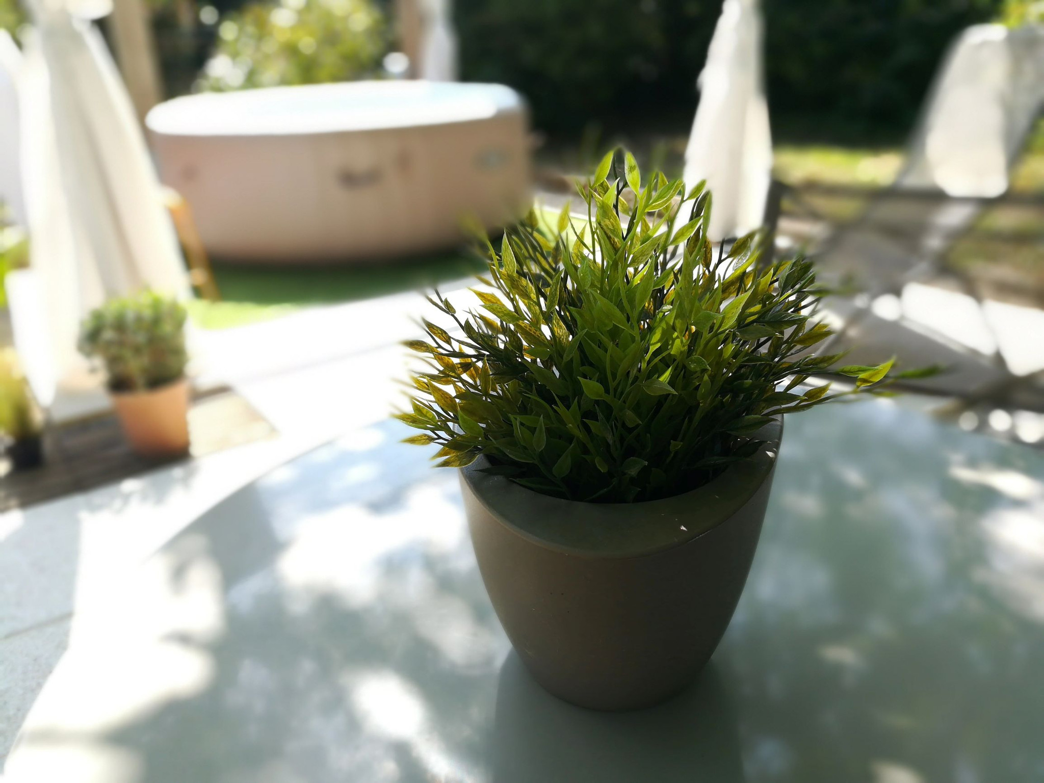 GreenGo Le Patio