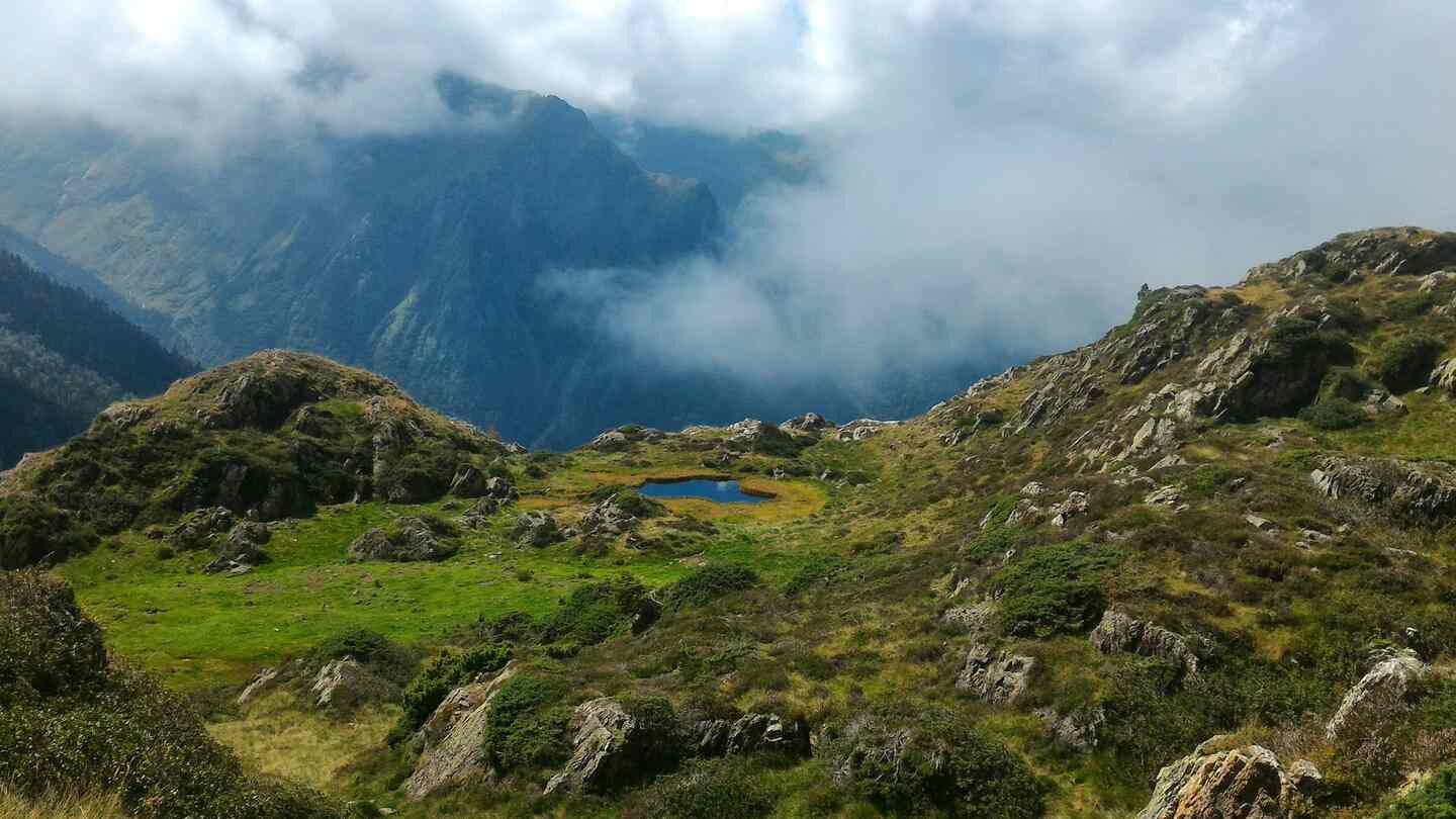 GreenGo location vacances écoresponsables