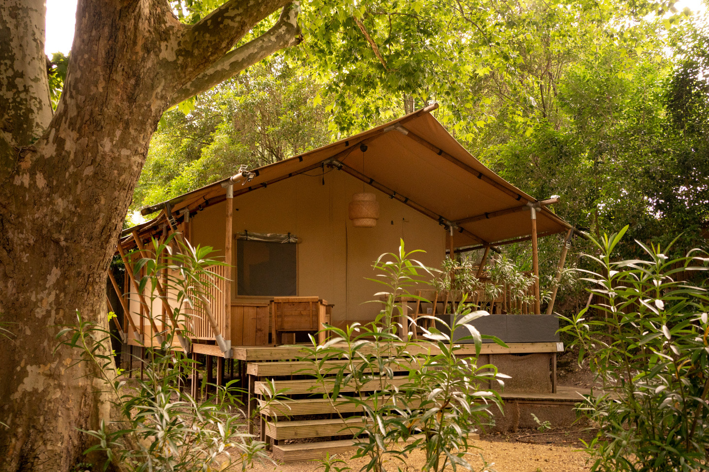 orderedImageAlt_accommodation_default