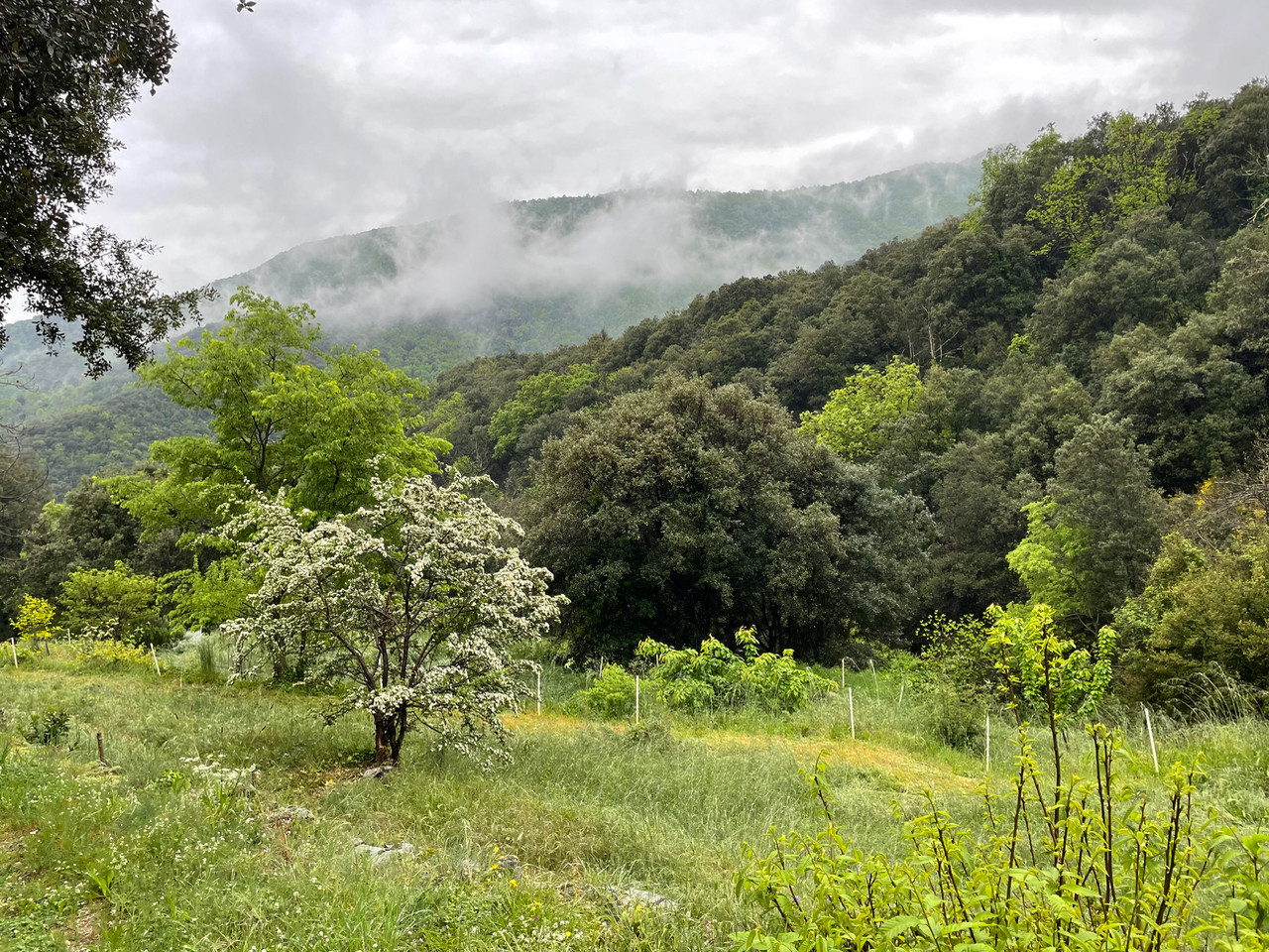 GreenGo Dans la vallée