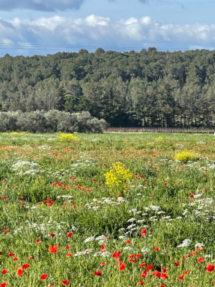 GreenGo Chambre d’hôtes Occitanie Évasion