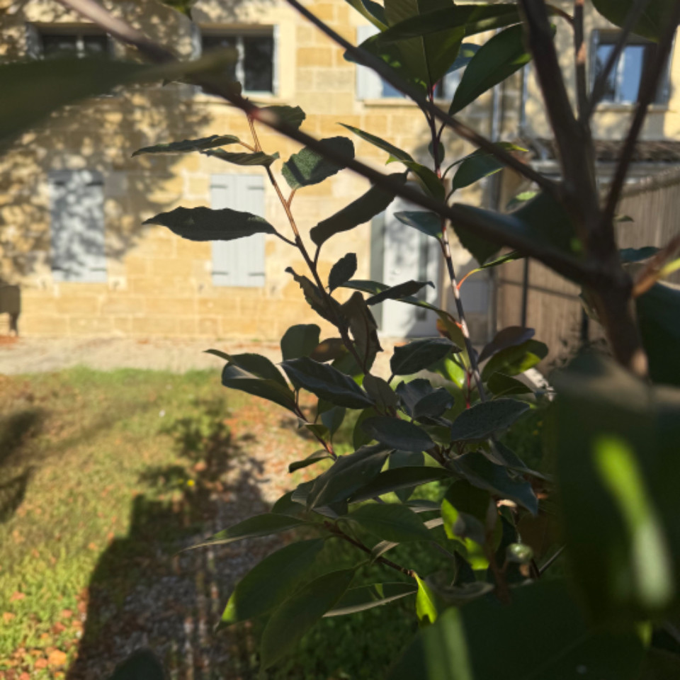 Maison au cœur des vignobles de saint-Emilion