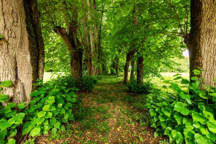 GreenGo La Tourelle du Château