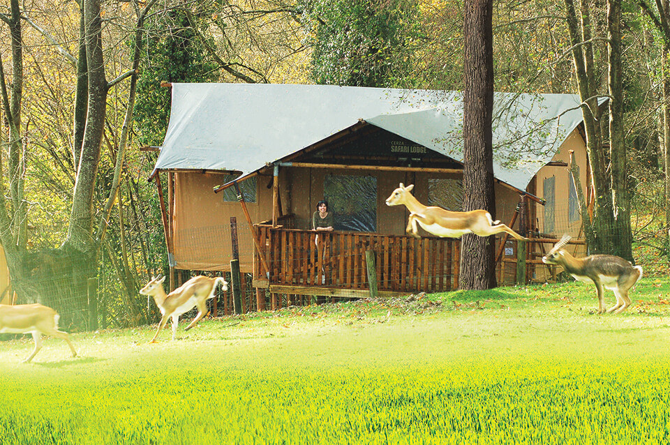 orderedImageAlt_accommodation_default