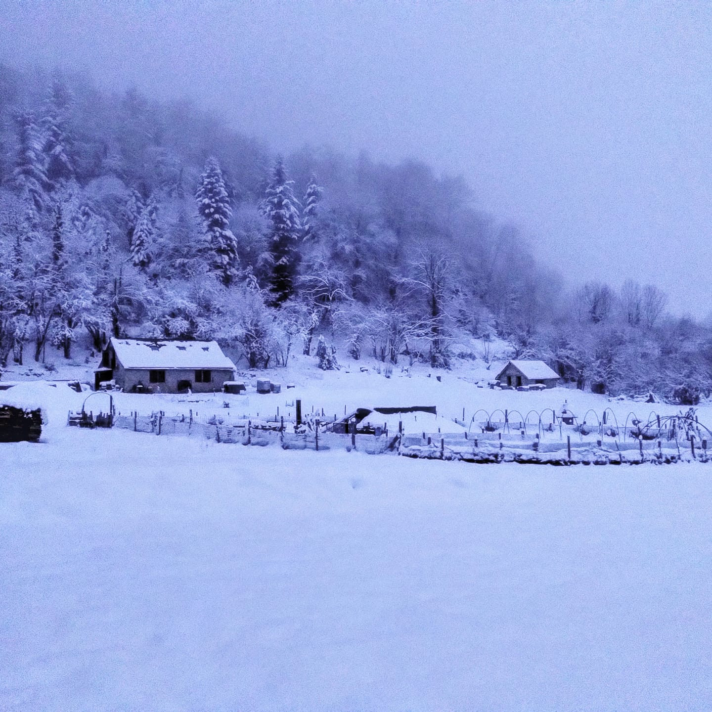 Logement insolite Pyrénées-Atlantiques En forêt