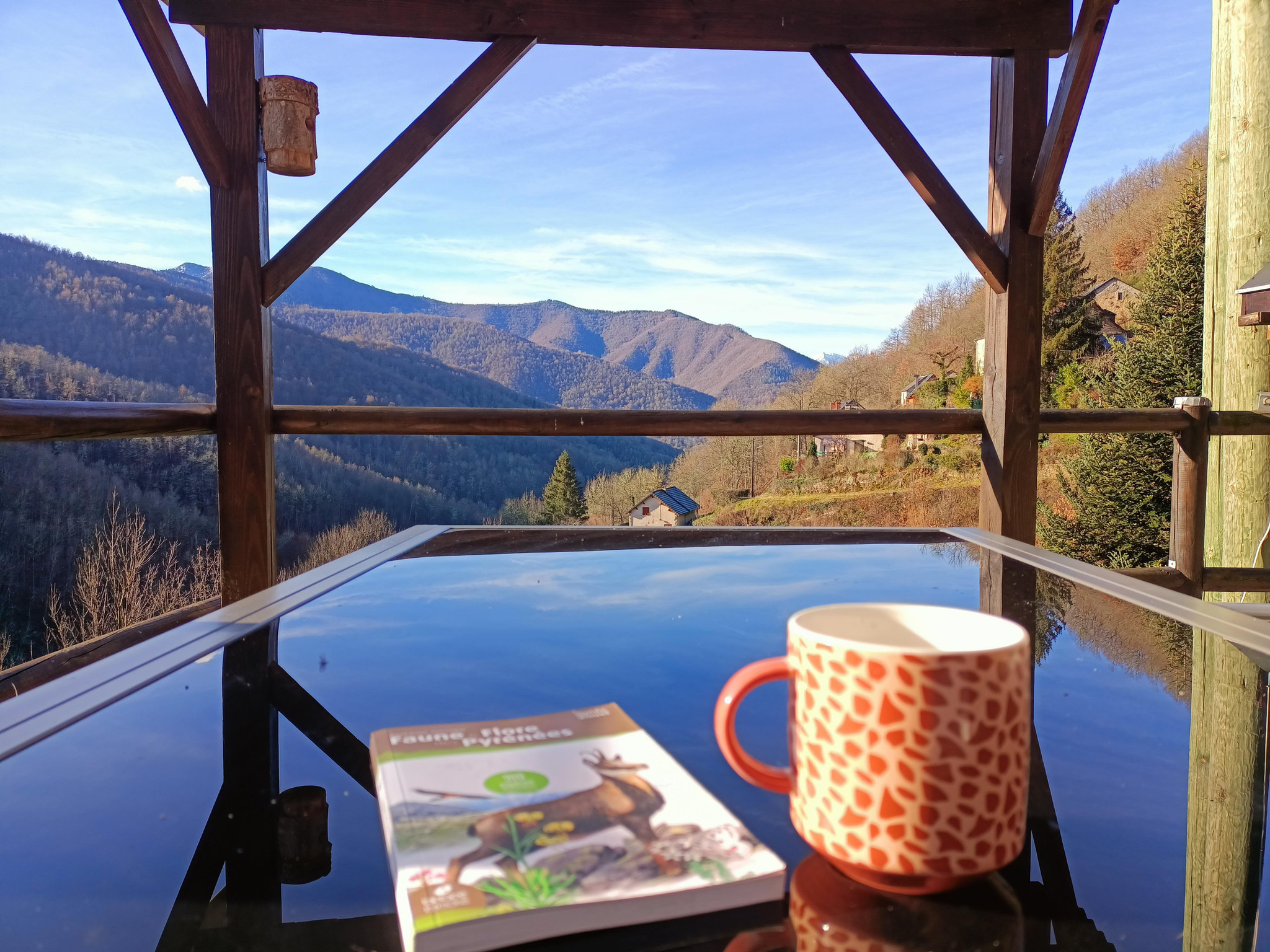 Gîte des Demoiselles "Montagne des Pyrénées"
