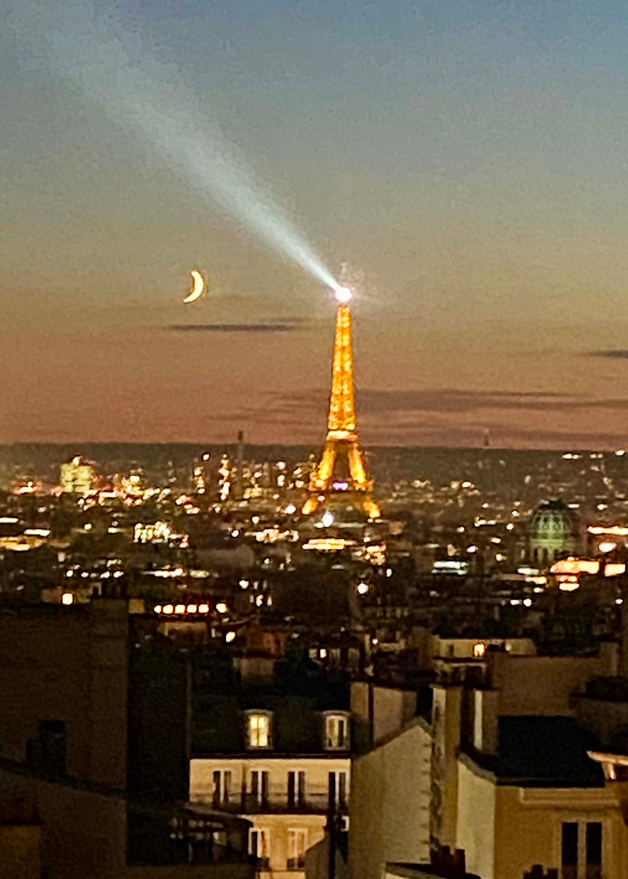 Hôte GreenGo: Terrasse et Vue sur le tout Paris
