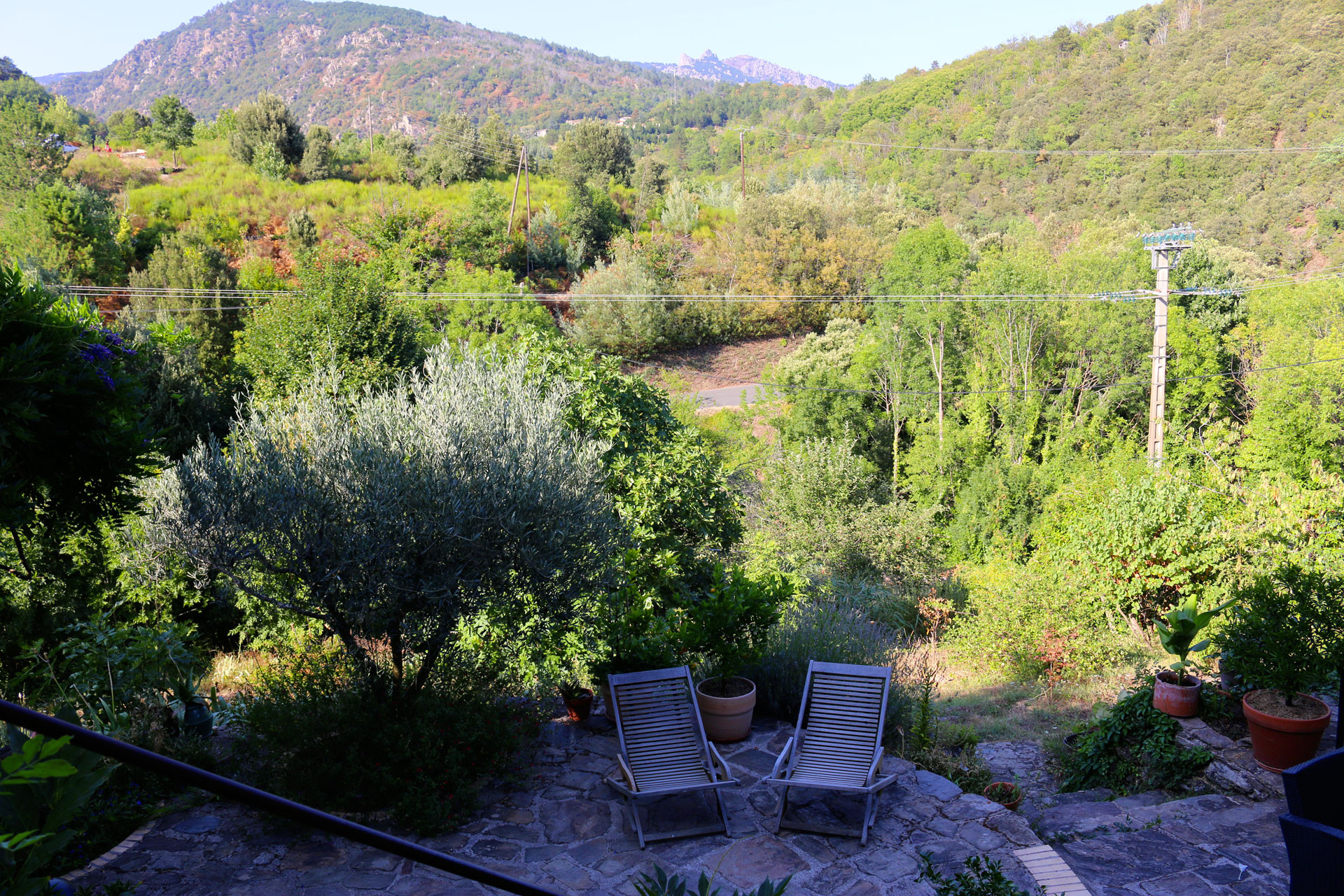 GreenGo Location Occitanie En forêt