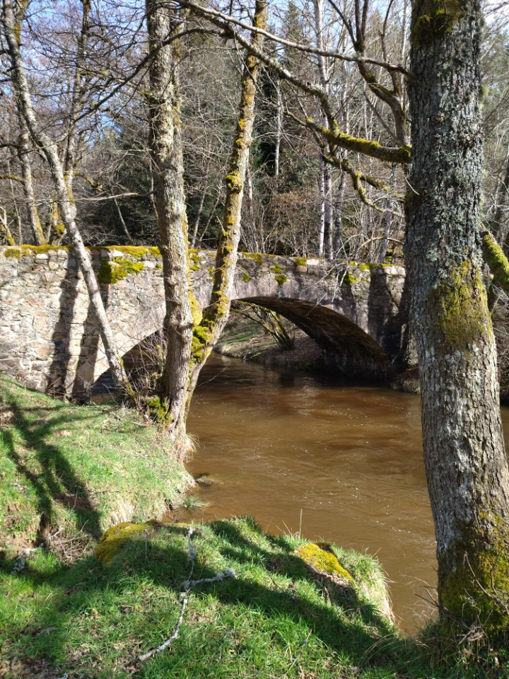 Haute-Loire Glamping