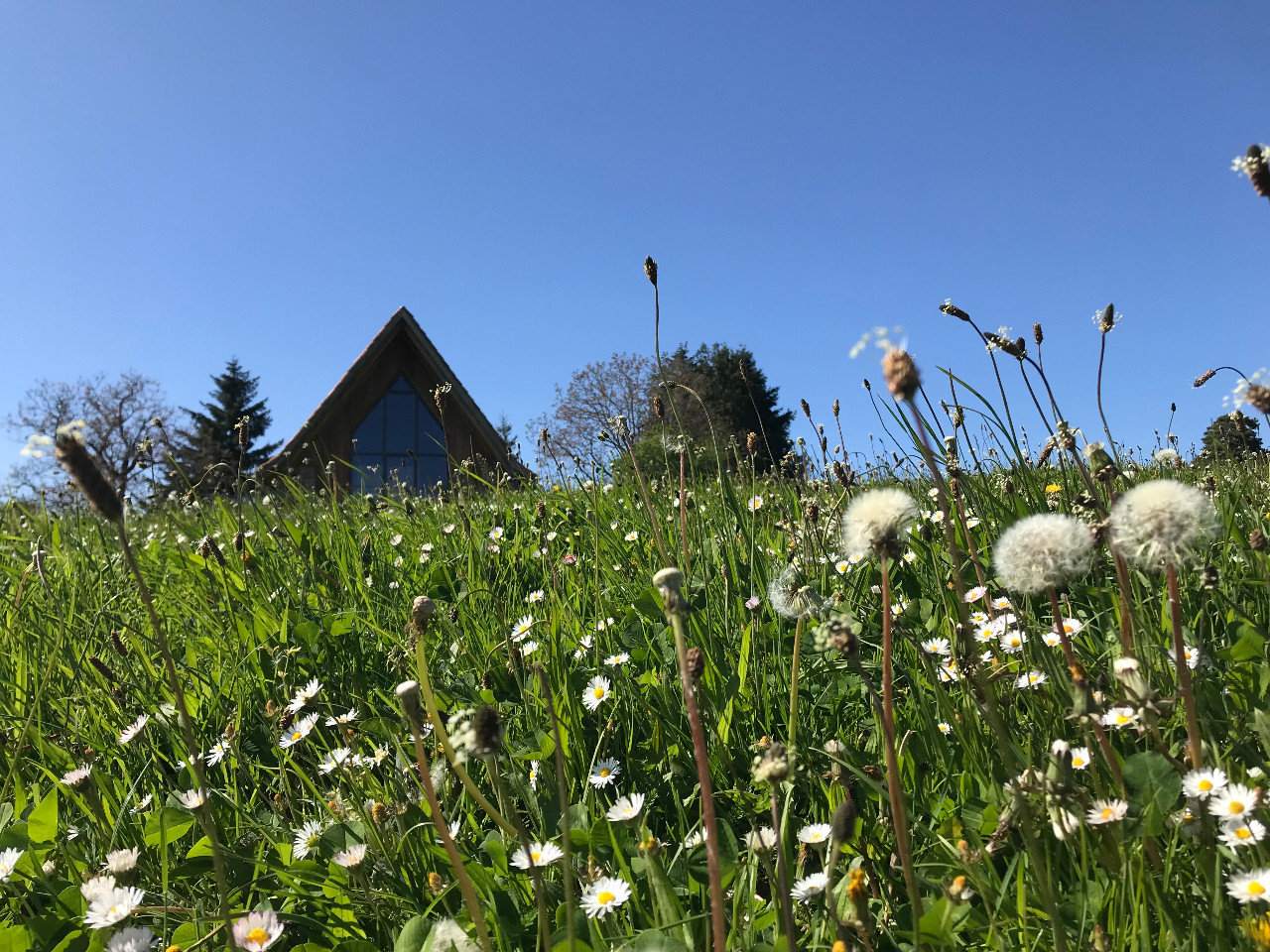 GreenGo location vacances écoresponsables