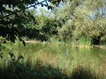 GreenGo location vacances écoresponsables