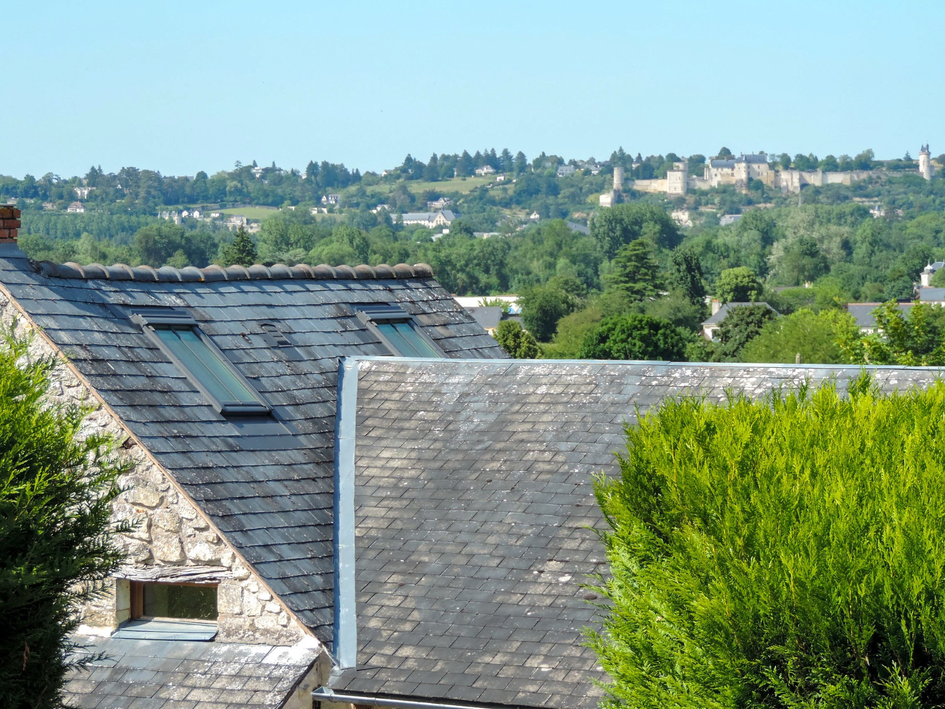 GreenGo La Bergerie, Chinon