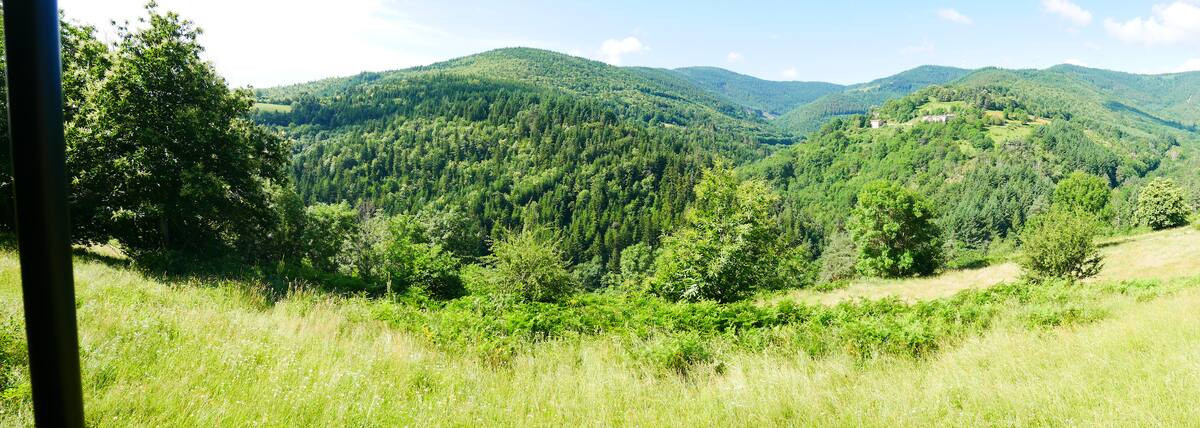 GreenGo Tiny en pleine nature pour se ressourcer