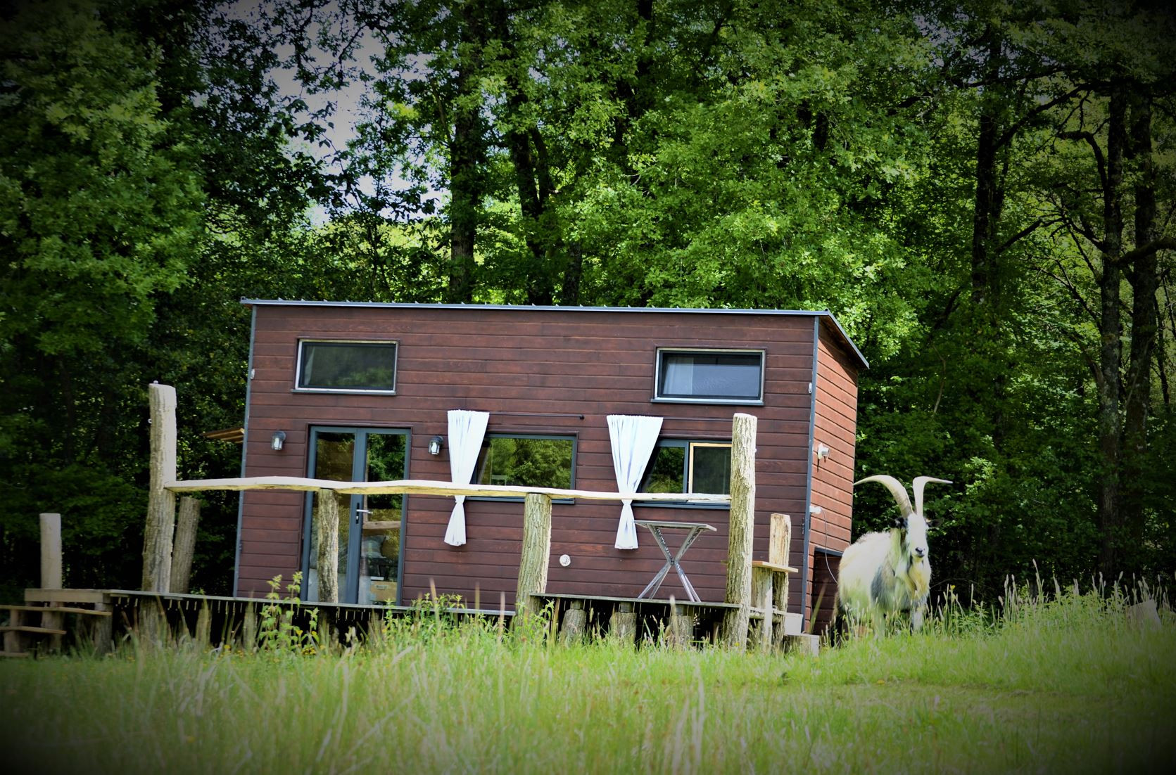 GreenGo location vacances écoresponsables
