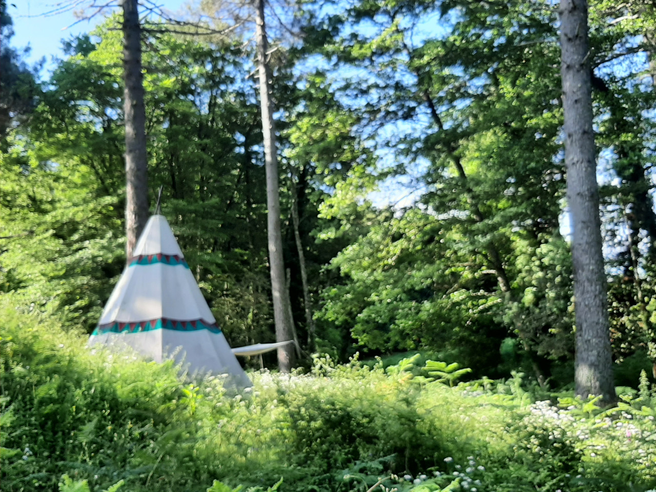 orderedImageAlt_accommodation_default