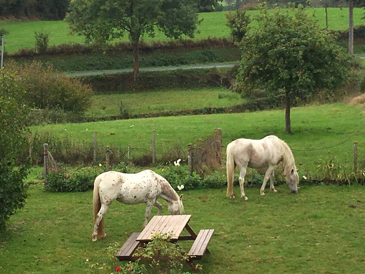 GreenGo Le Ranch de Re&mi