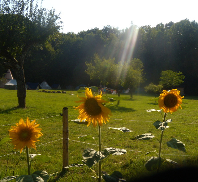 orderedImageAlt_accommodation_default