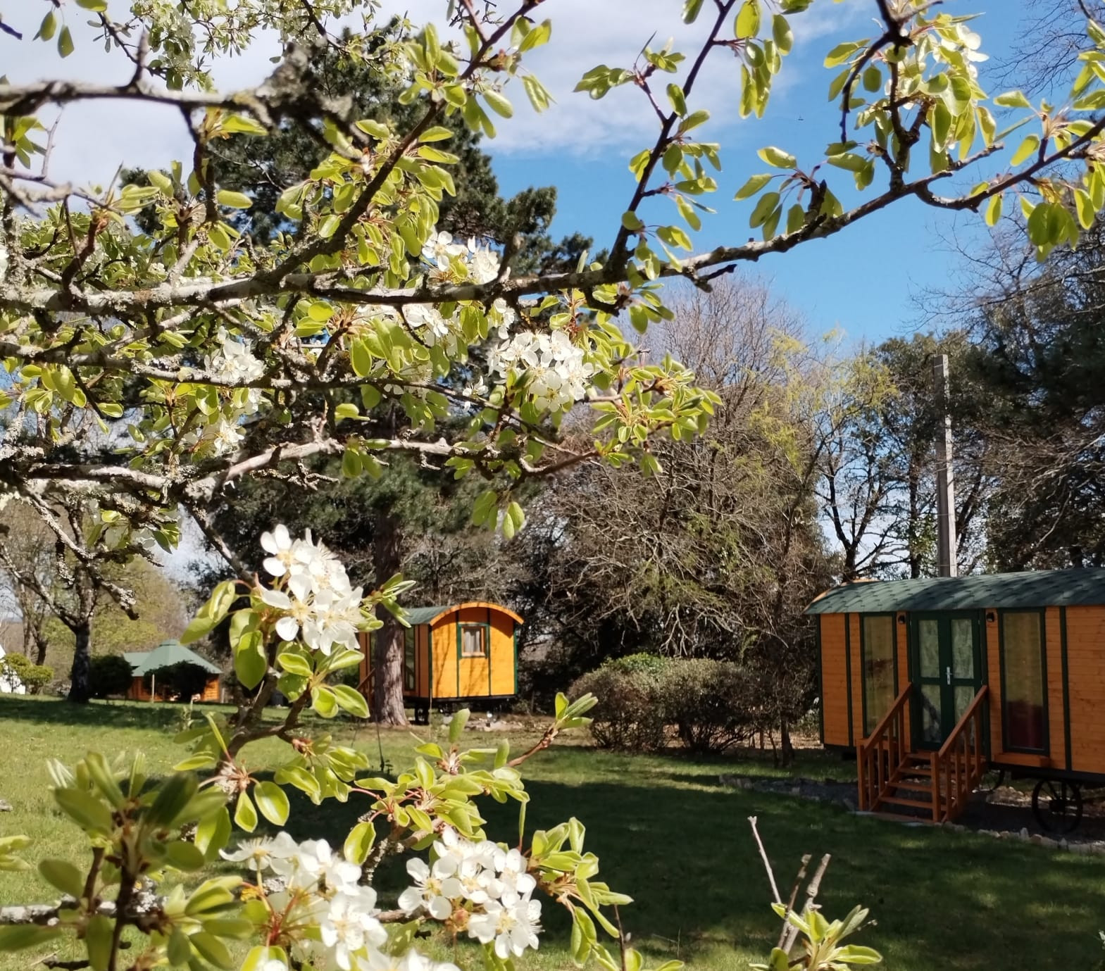 orderedImageAlt_accommodation_default