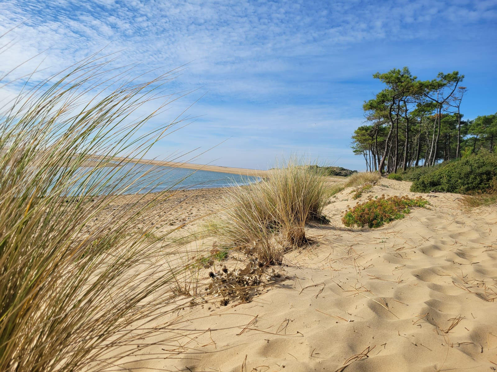 GreenGo location vacances écoresponsables