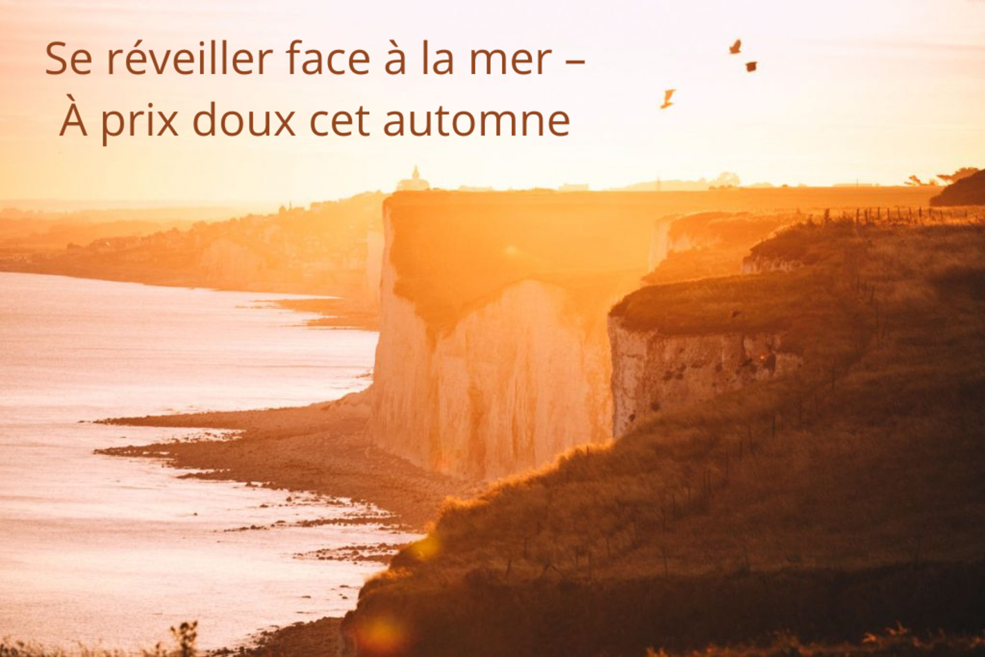 Le Relais fleuri