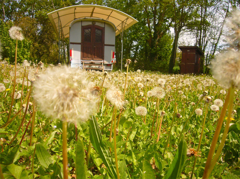 orderedImageAlt_accommodation_default