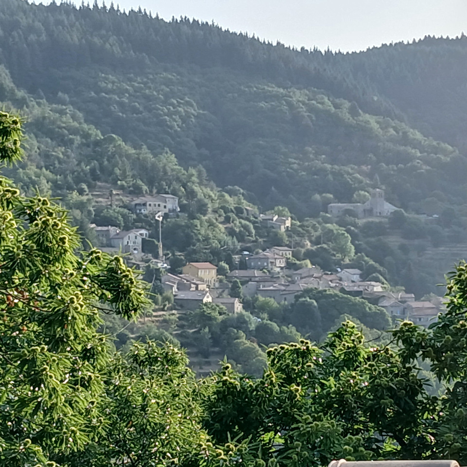 Hôte GreenGo: Le petit "home"
