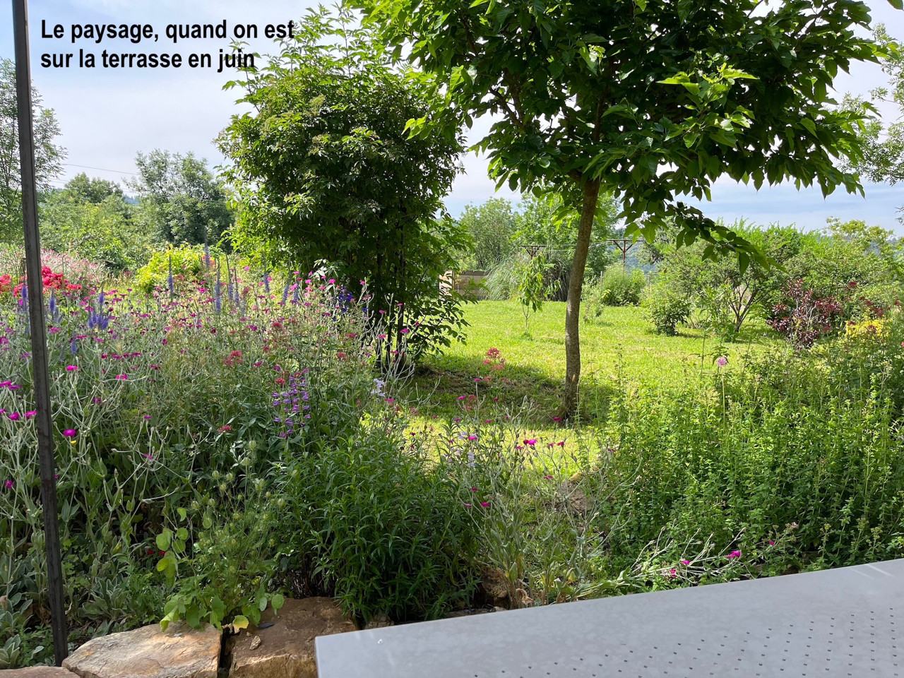 Location Tarn À la campagne