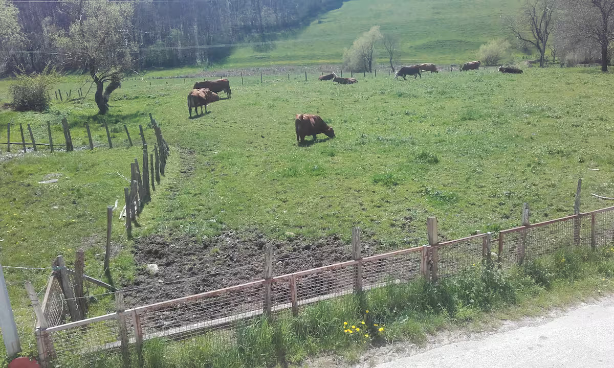 Location Isère Bien-être