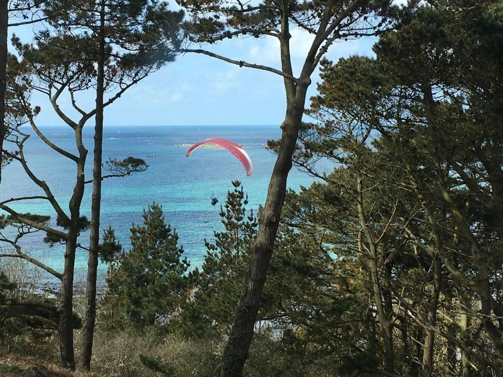 GreenGo location vacances écoresponsables