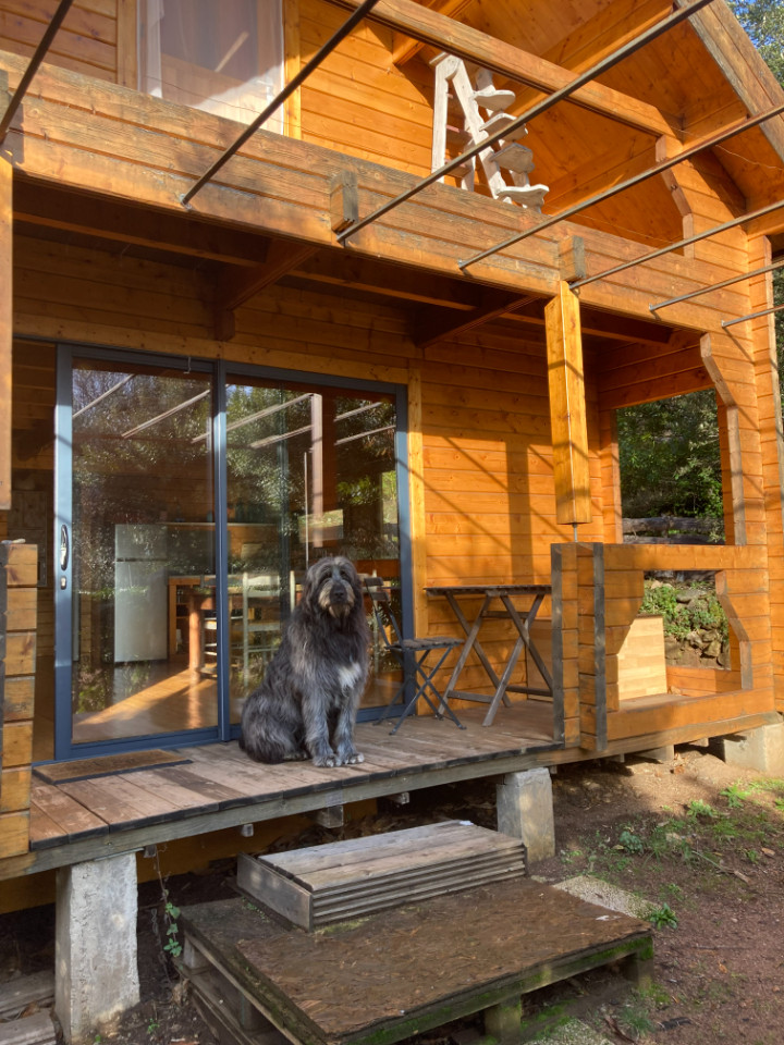 GreenGo Chalet bois . Cocon nature