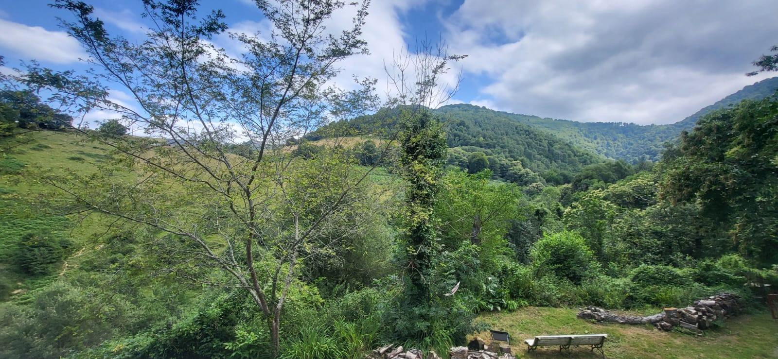 GreenGo Sarramea Jungle Retreat