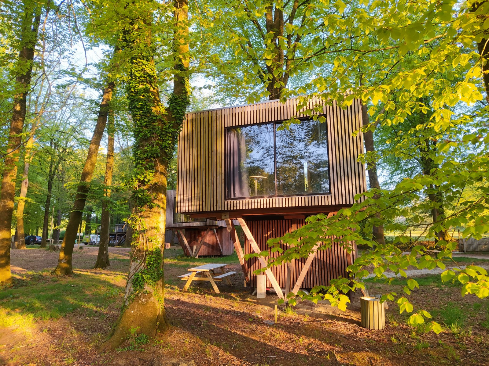 orderedImageAlt_accommodation_default