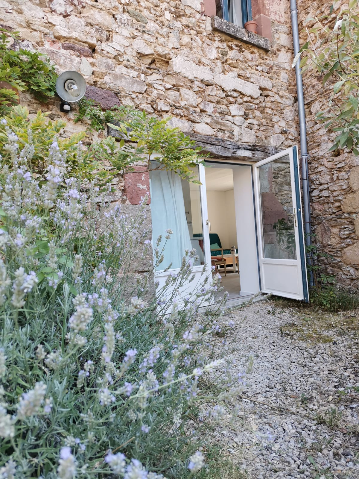 orderedImageAlt_accommodation_default