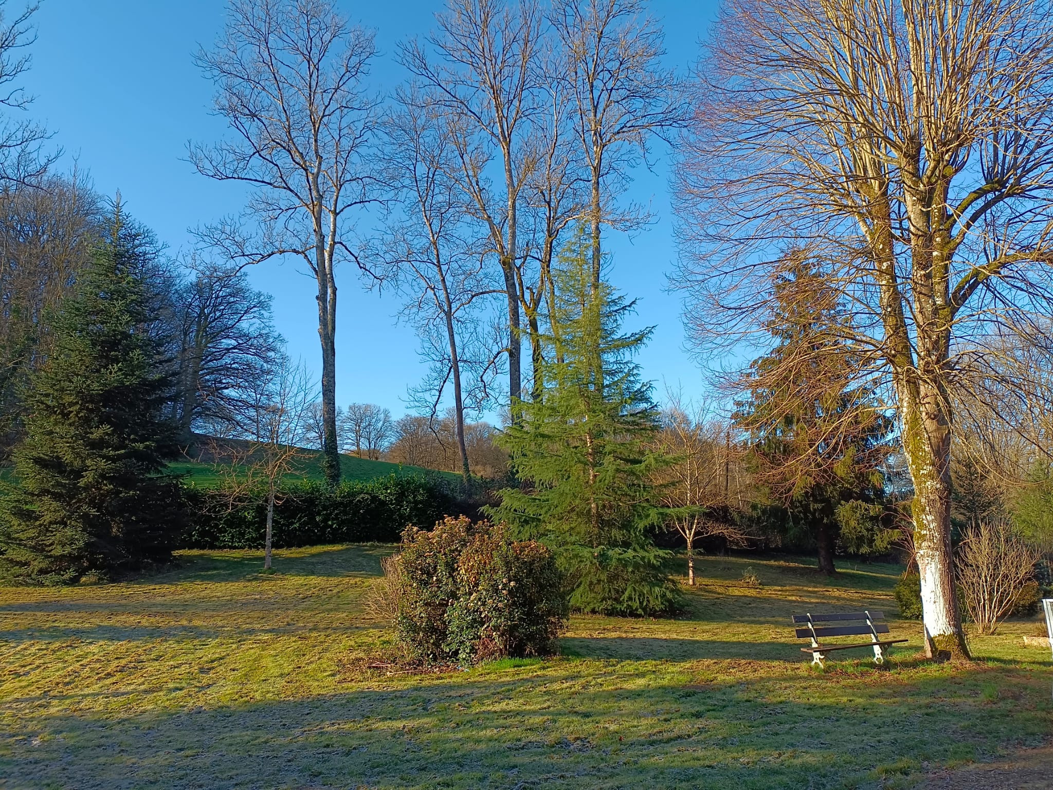 Location Orne En forêt