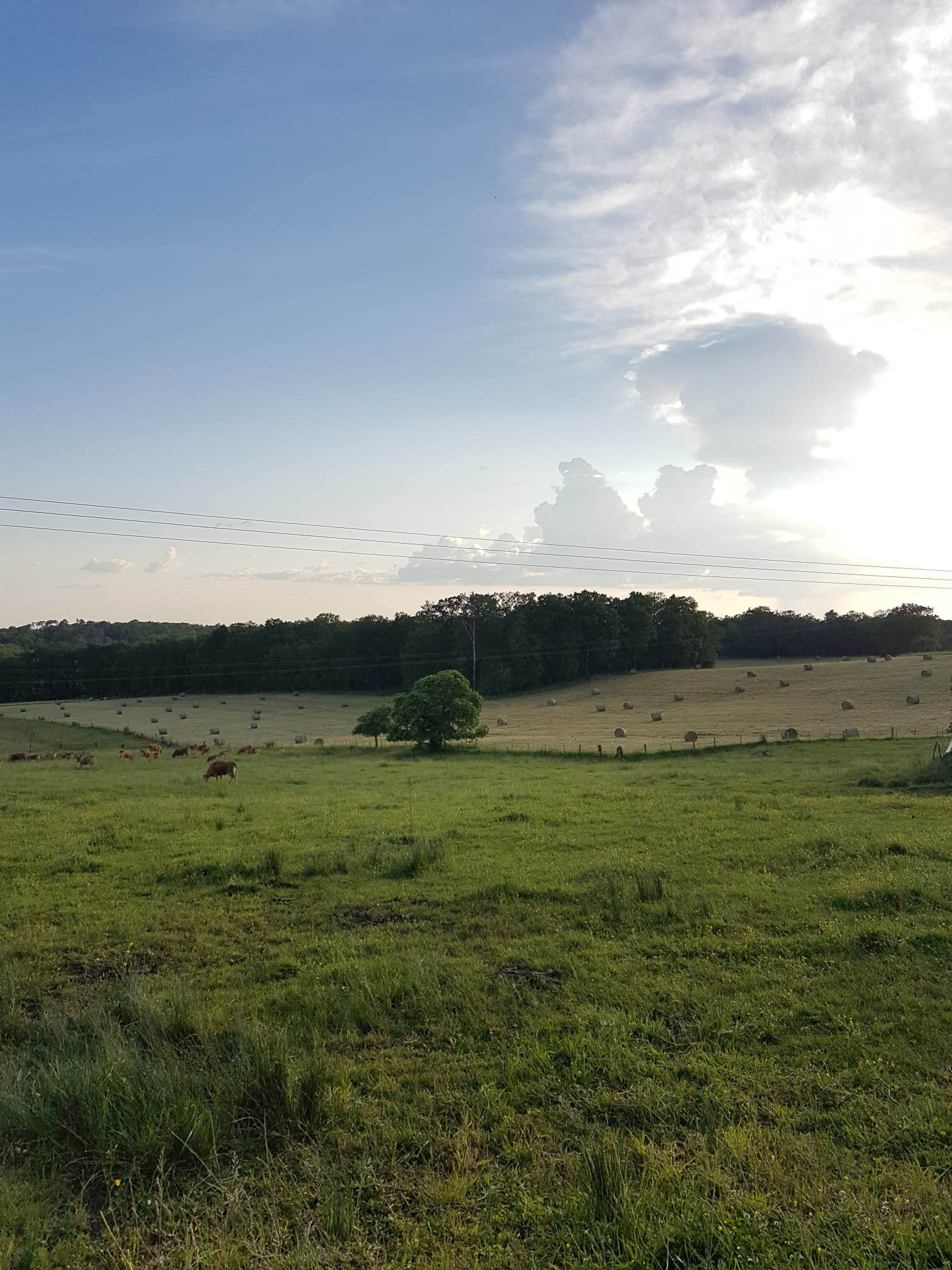  Dordogne Entre amis