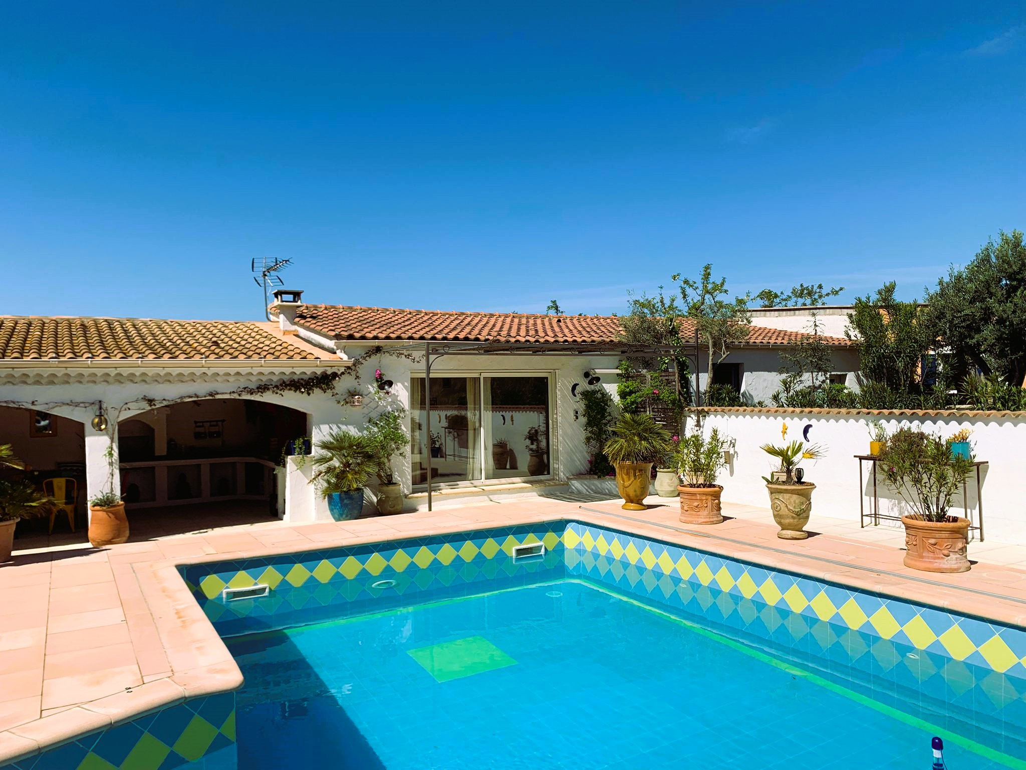 Le clos de l’olive verte