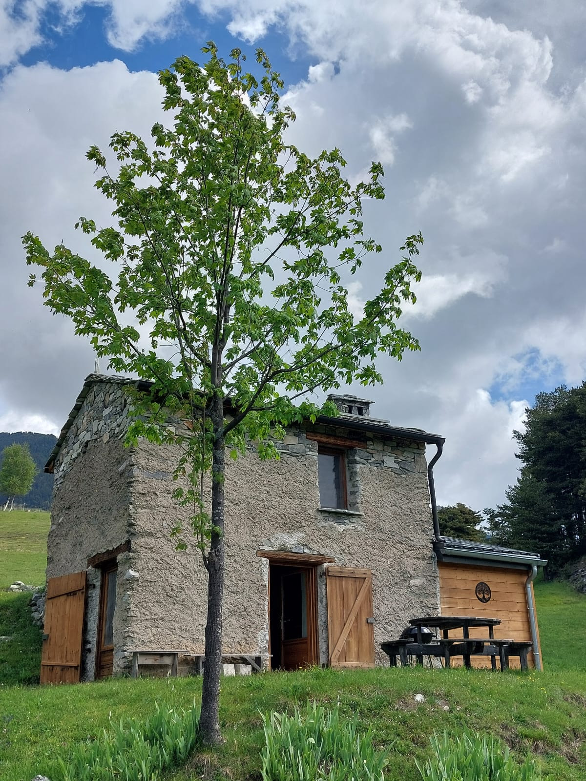 Hôte GreenGo: Le chalet de Léo, connexion à la nature