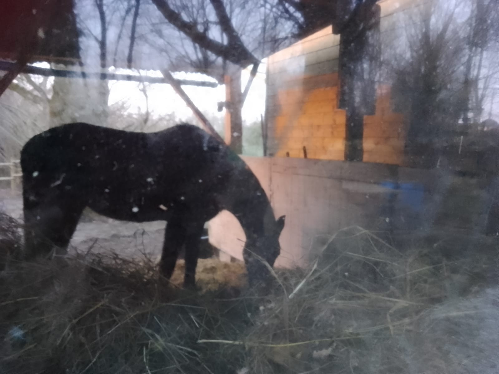 Hôte GreenGo: Le Ranch