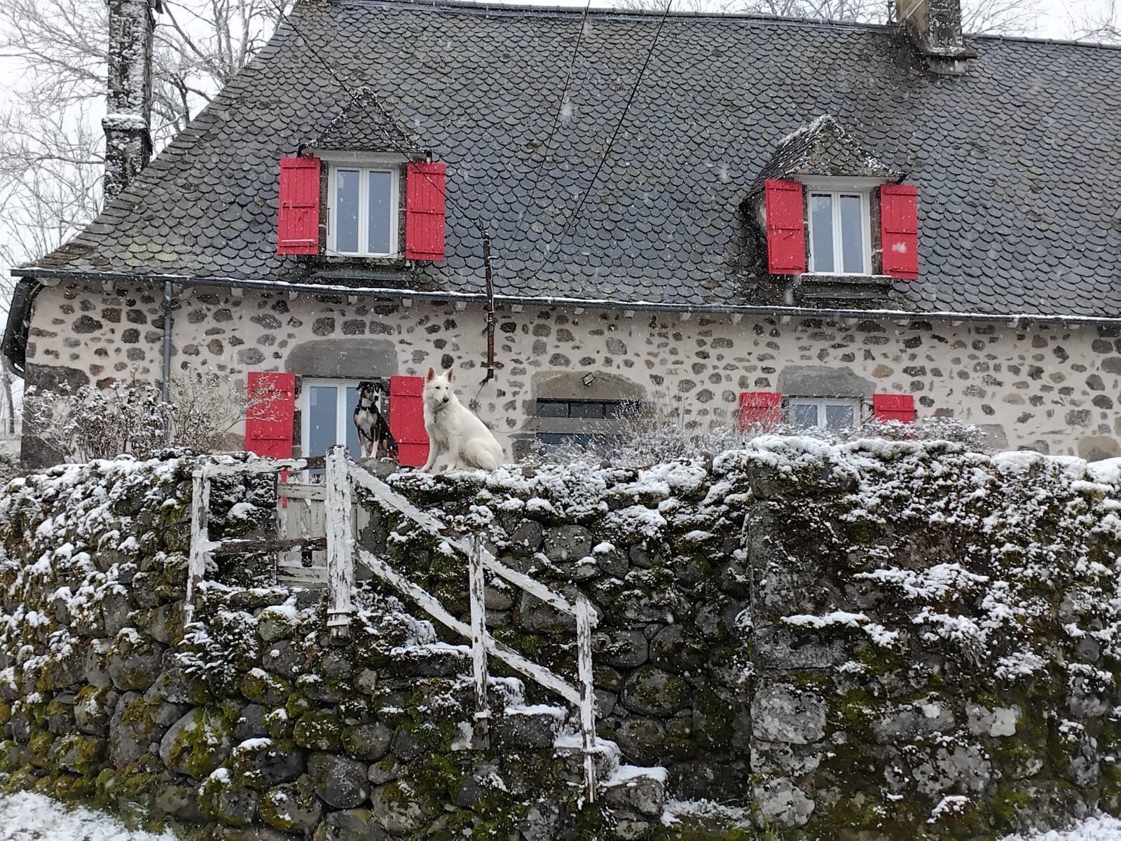 Logement GreenGo: Entre pierres et bois