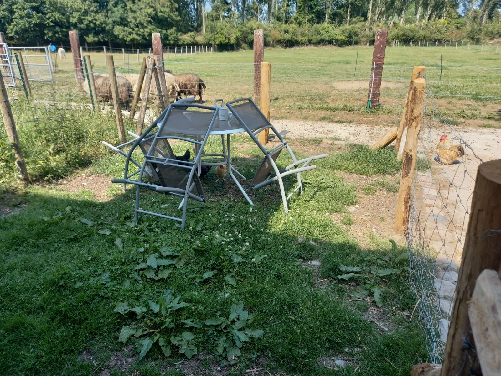 GreenGo location vacances écoresponsables
