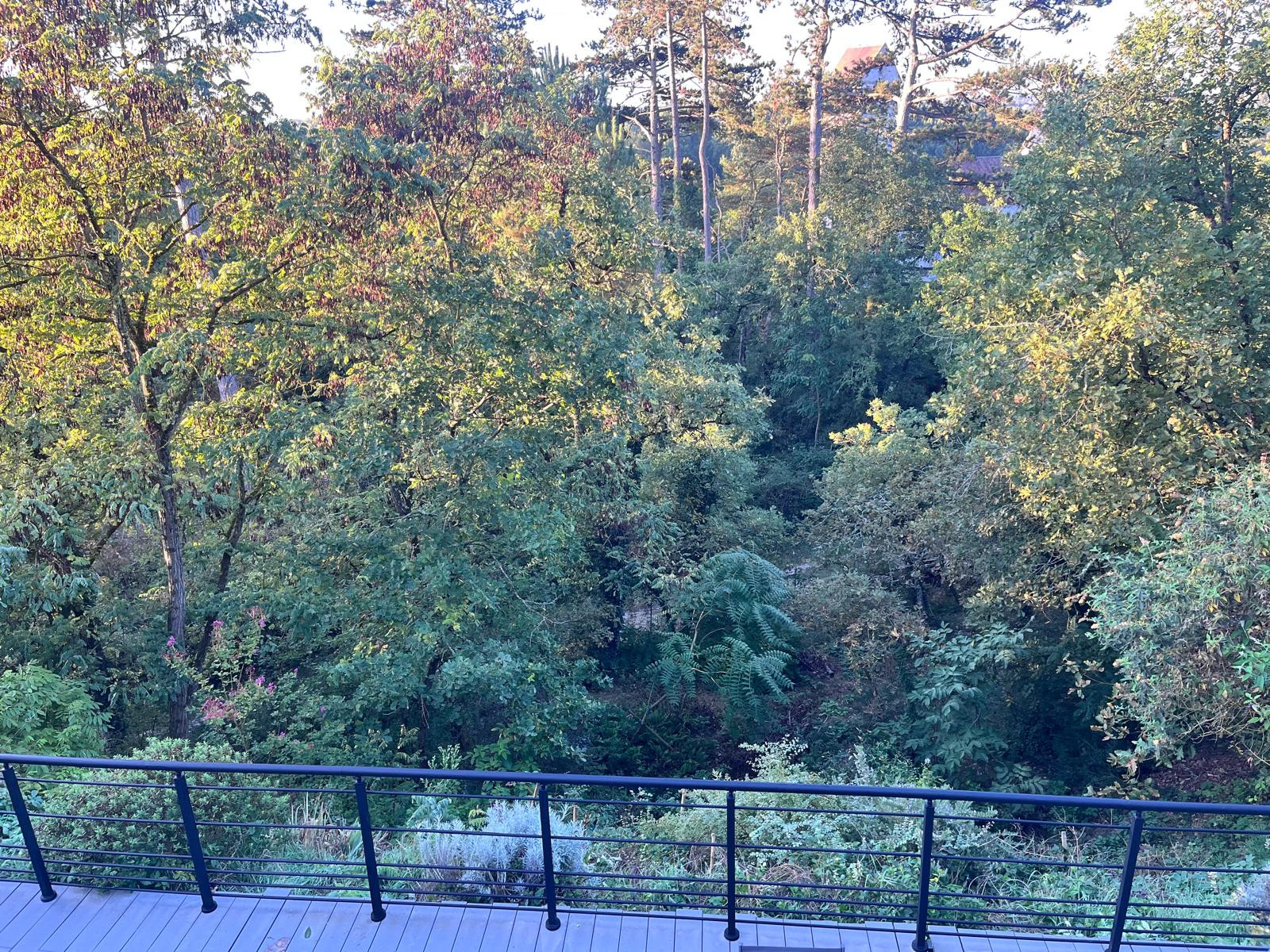 Seine-et-Marne En forêt