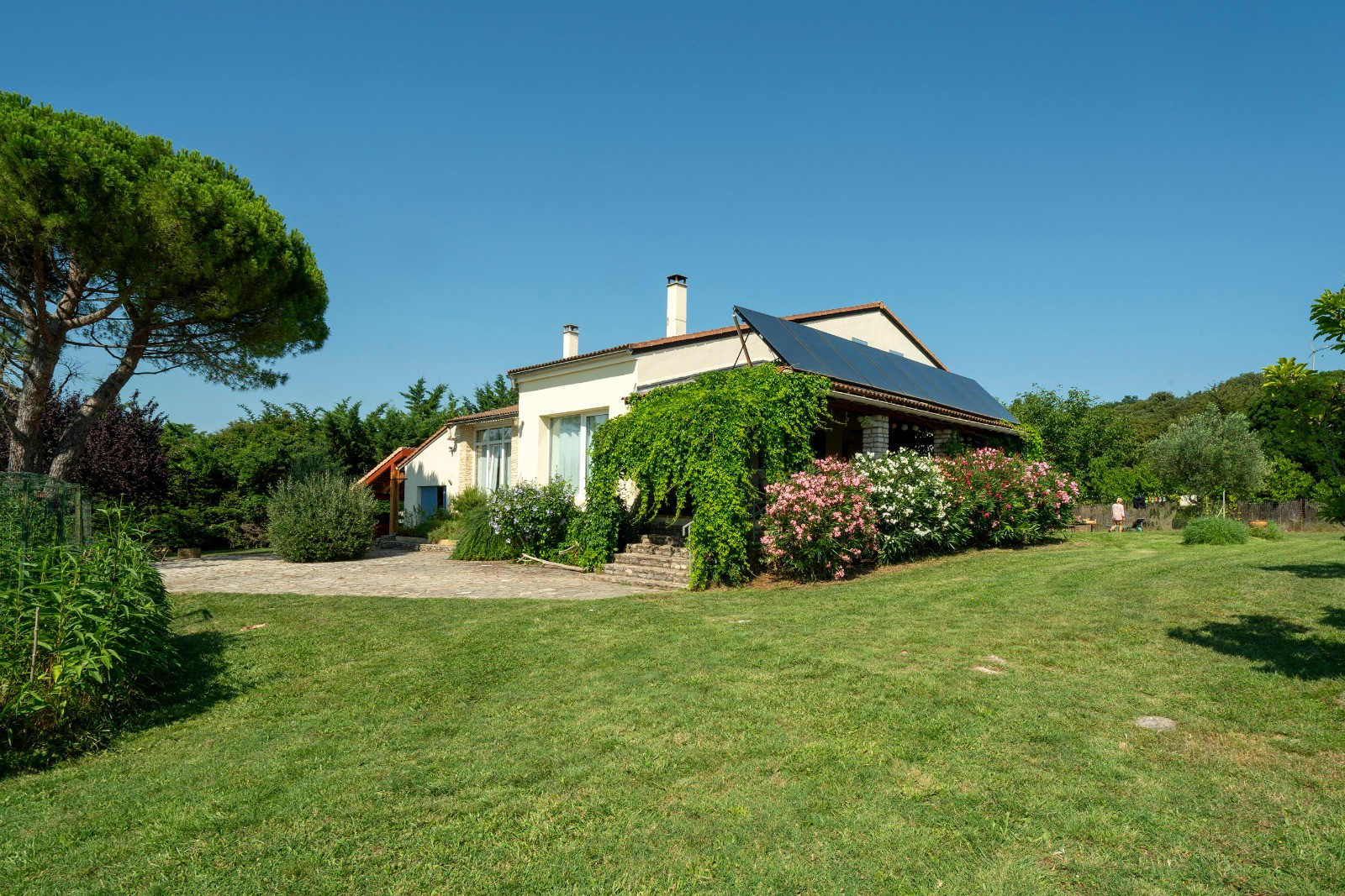 Hôte GreenGo: Le petit paradis