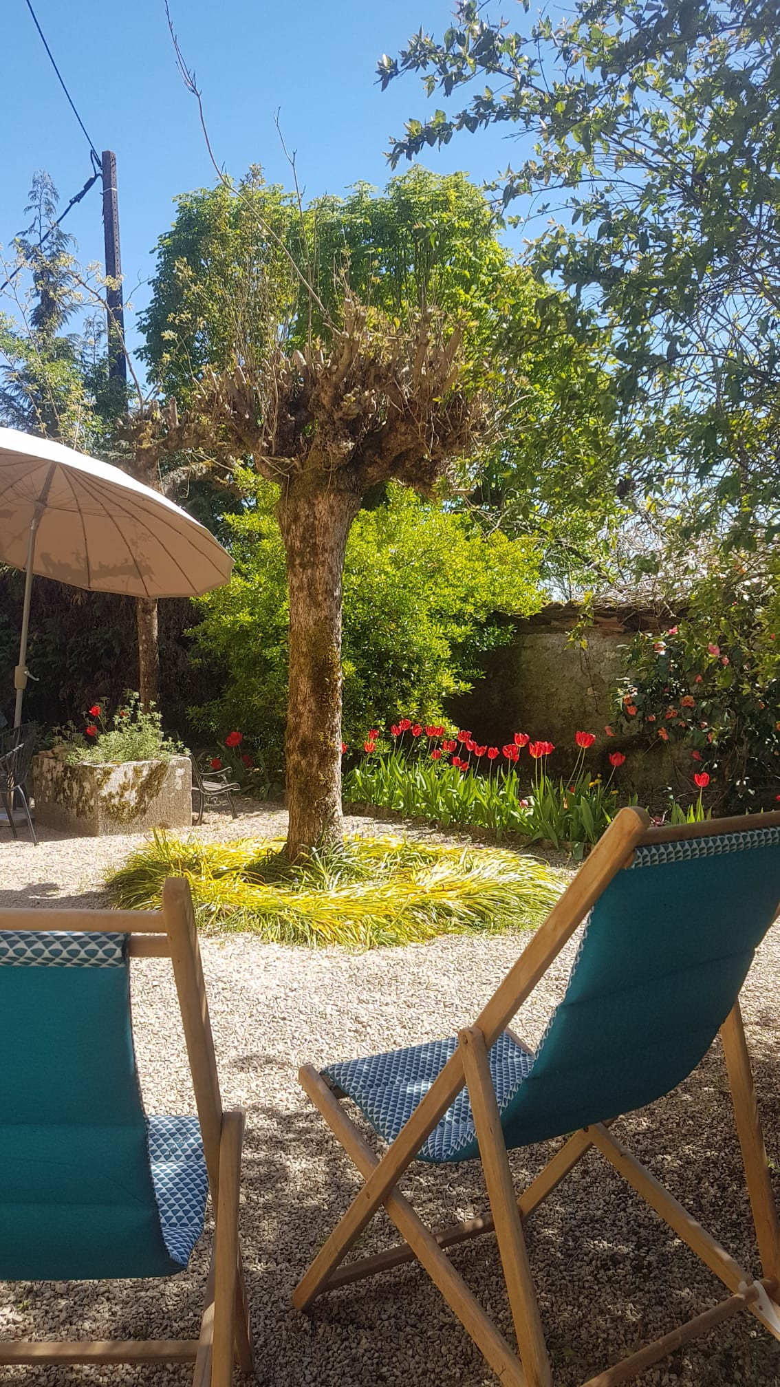 Le jardin et ses transats