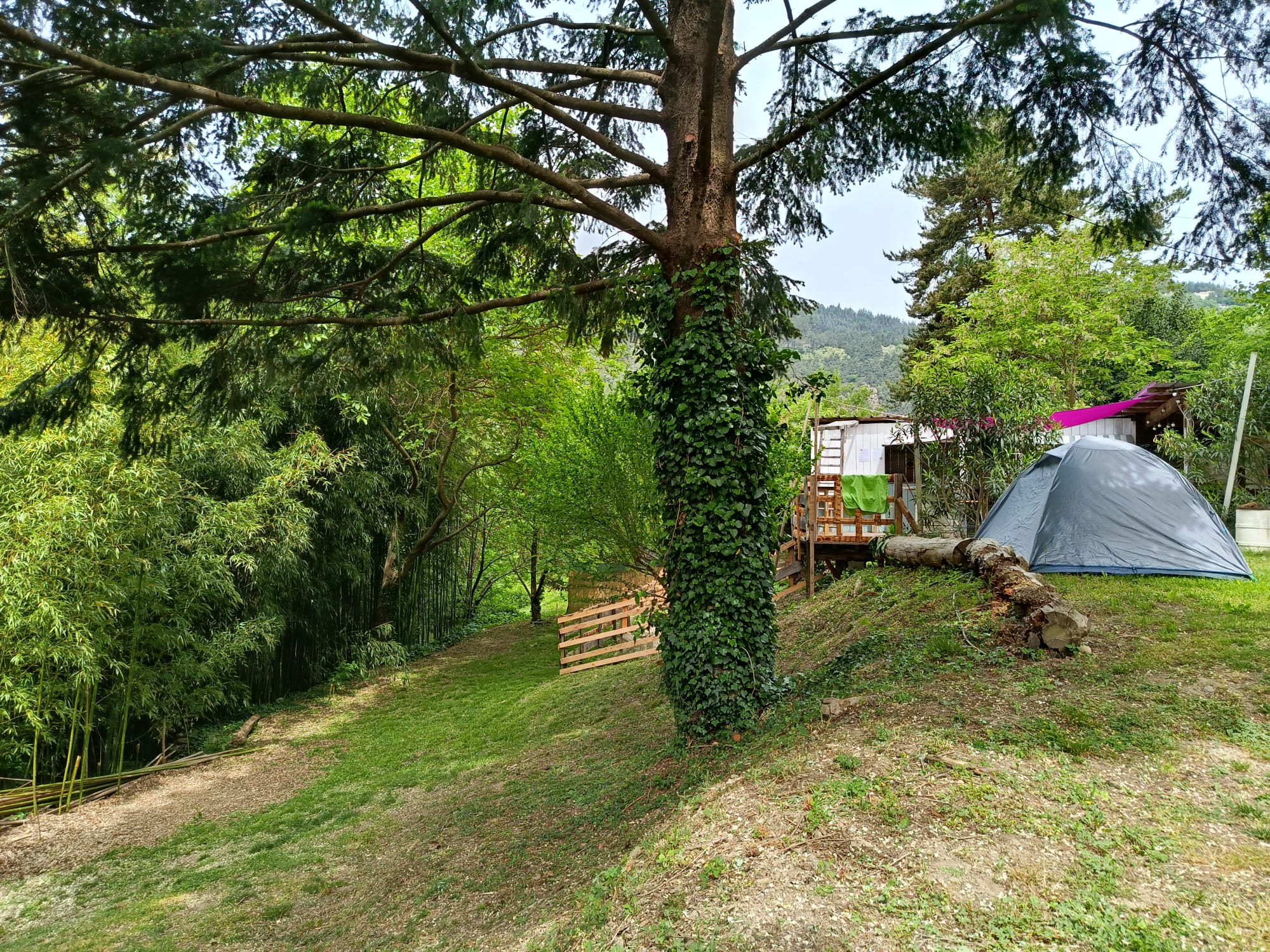 orderedImageAlt_accommodation_default