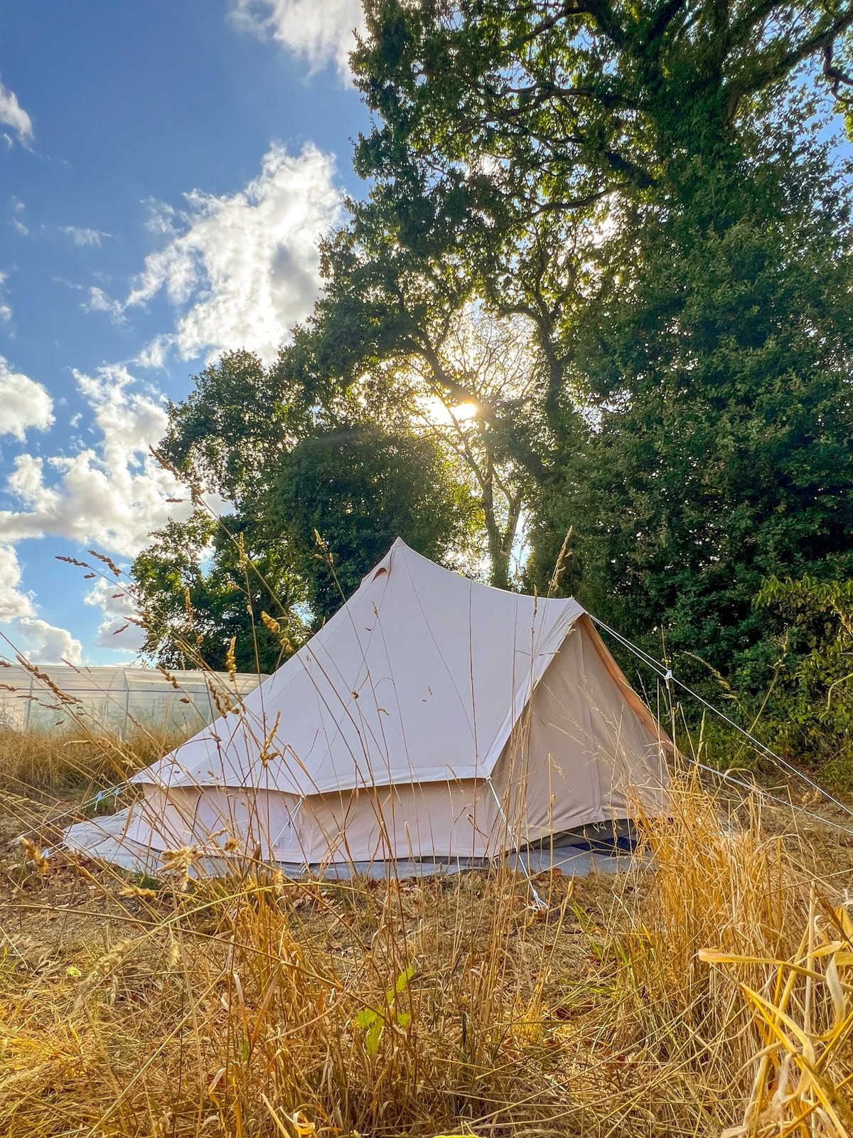 Logement GreenGo: Évasion glamping au cœur d'un Ecodomaine