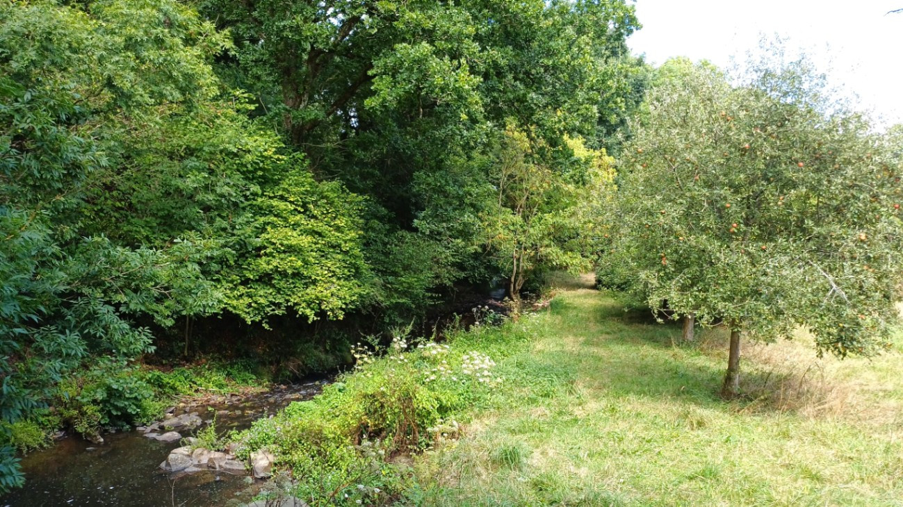 GreenGo Location Bretagne Évasion