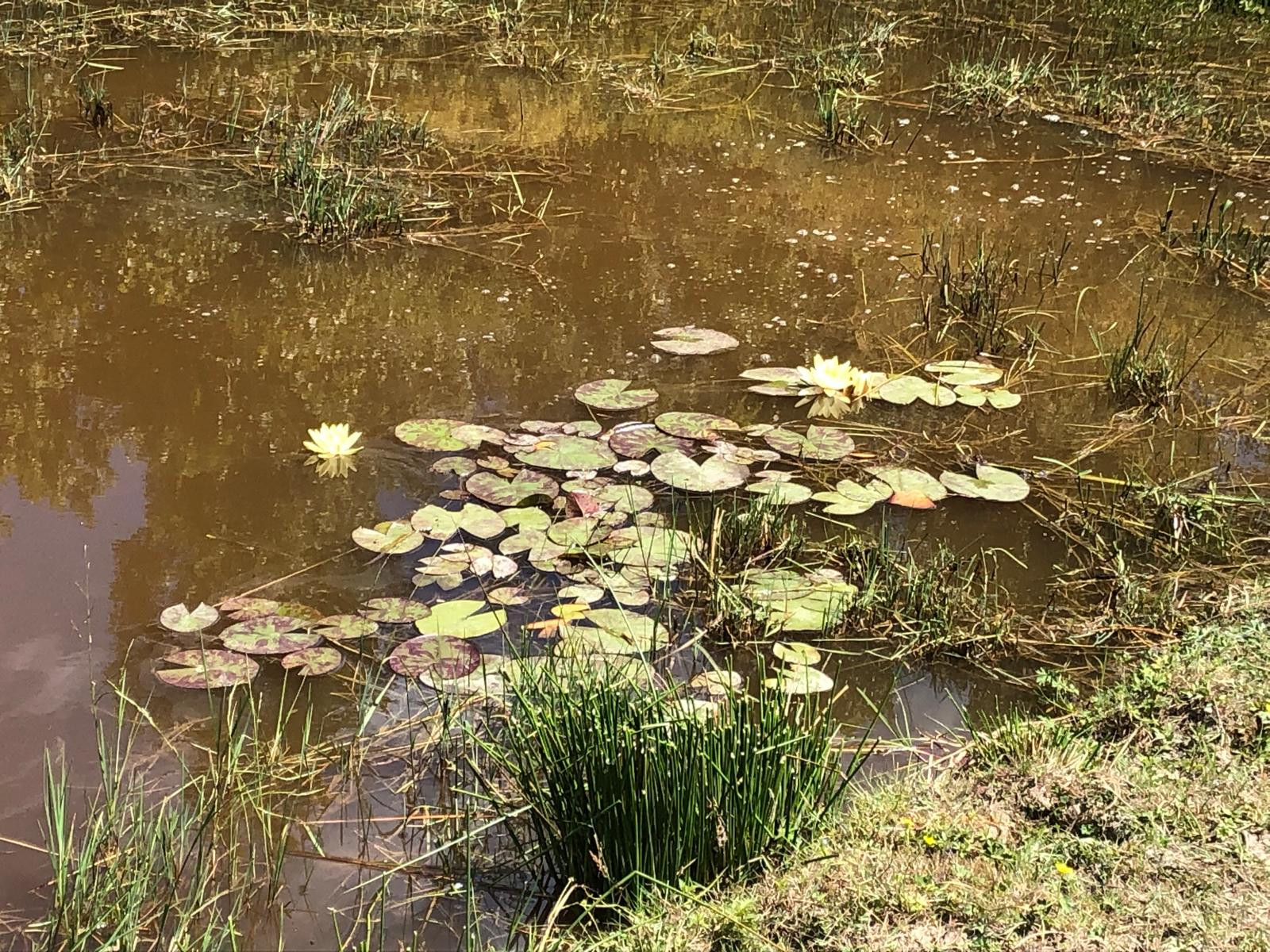  Vendée À la campagne